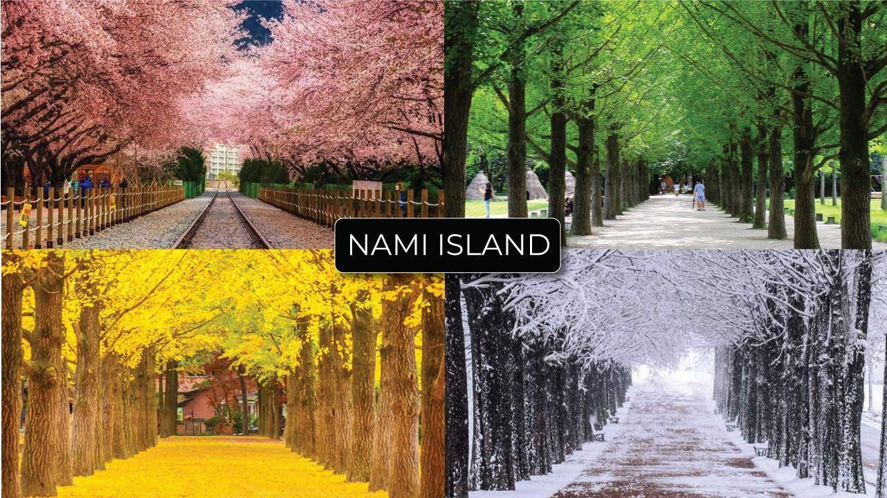 MÙA HÈ HÀN QUỐC - SEOUL - NAMI - CV CHỦ ĐỀ (TN)